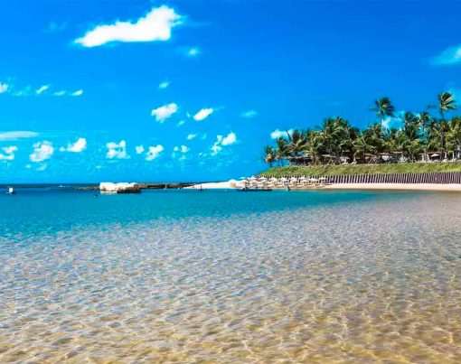 black-friday-de-viagens-para-o-reveillon-na-praia-melhore-ofertas