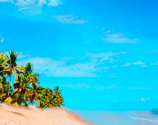 Tres-pacotes-CVC-em-oferta-para-o-reveillon-no-sul-do-Brasil